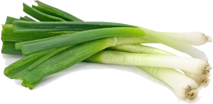 Spring Onions (Scallions)